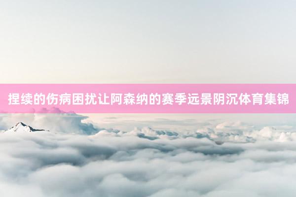 捏续的伤病困扰让阿森纳的赛季远景阴沉体育集锦