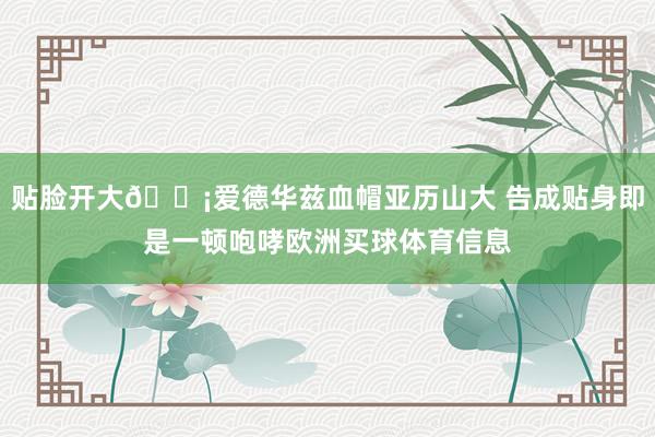 贴脸开大😡爱德华兹血帽亚历山大 告成贴身即是一顿咆哮欧洲买球体育信息