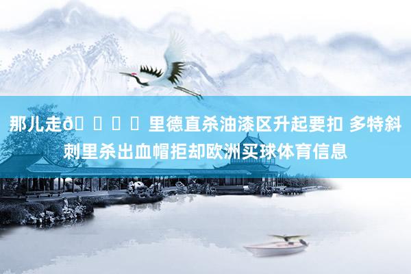 那儿走🖐️里德直杀油漆区升起要扣 多特斜刺里杀出血帽拒却欧洲买球体育信息