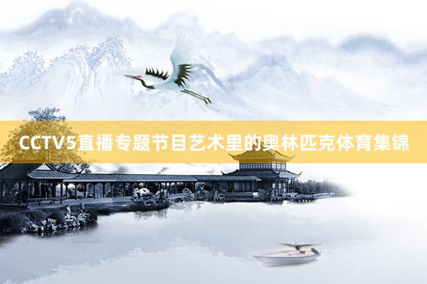 CCTV5直播专题节目艺术里的奥林匹克体育集锦