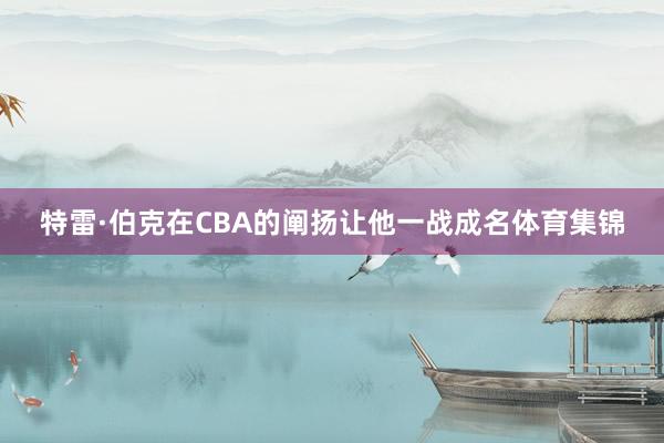 特雷·伯克在CBA的阐扬让他一战成名体育集锦