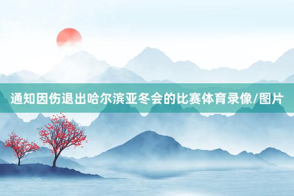通知因伤退出哈尔滨亚冬会的比赛体育录像/图片